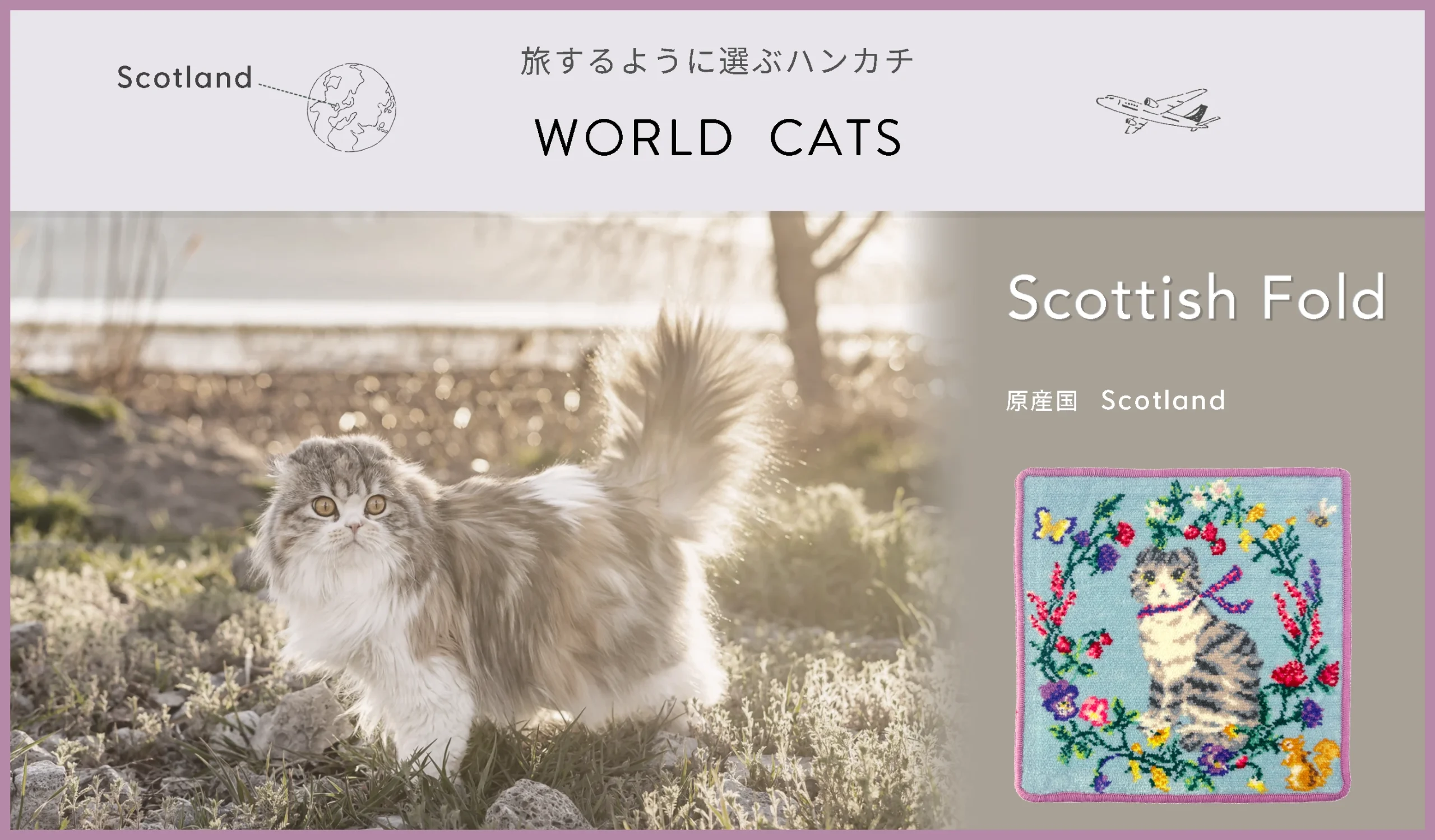 Scottish Fold -Scotland